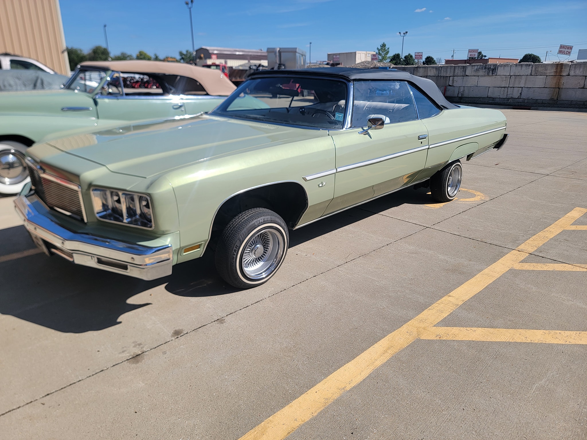 1975 Caprice detail